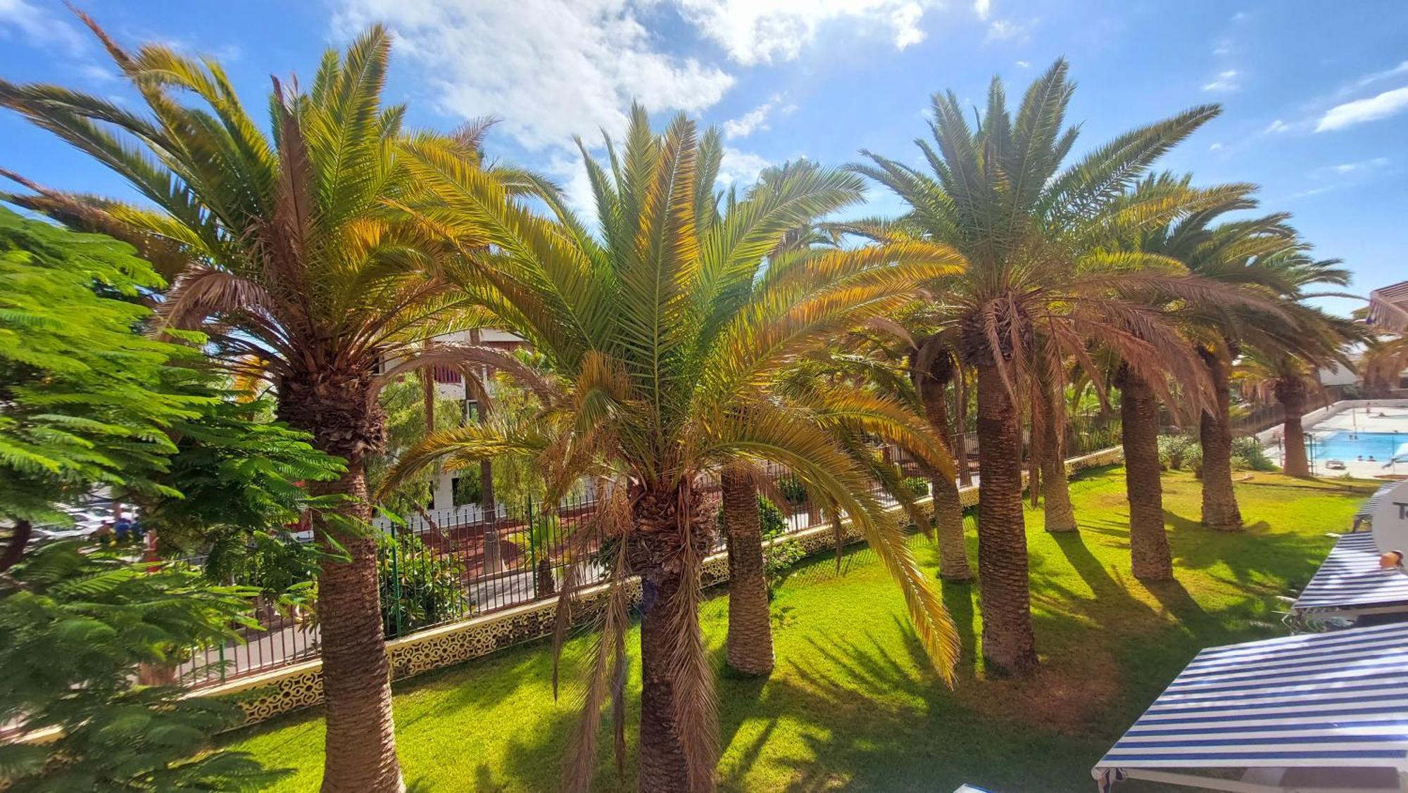 Apartamento Margarita Con Piscina En Playa Honda, Playa Las Americas Арона Екстериор снимка